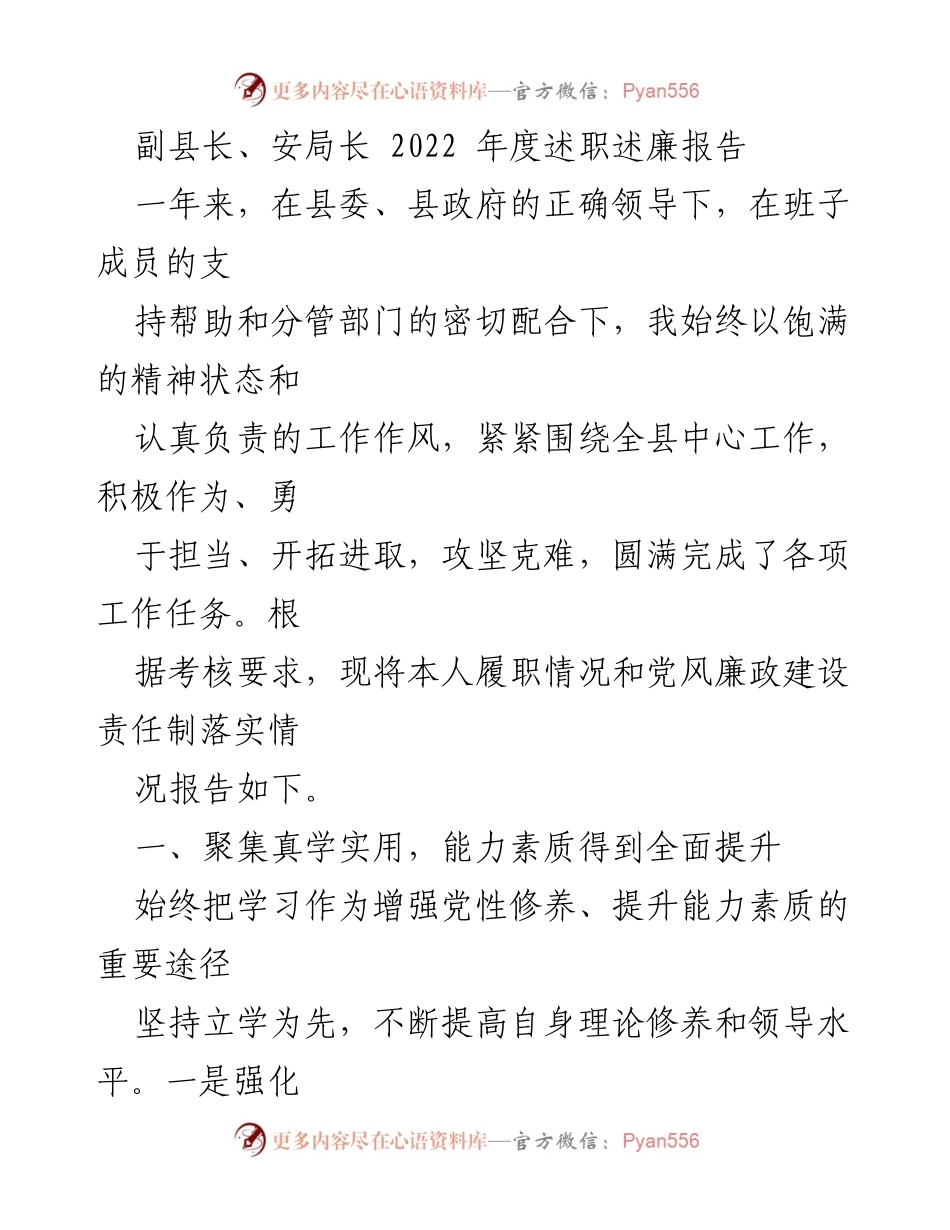 [述职报告] 年度工作总结 - 2022年度副县长述职述廉报告.docx_第1页