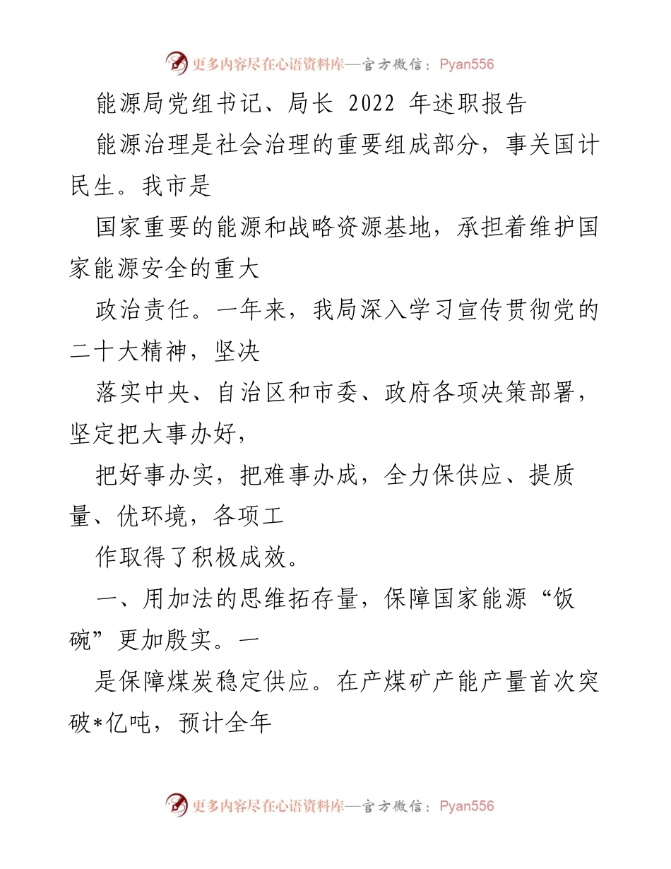 [述职报告] 能源局年度总结 - 2022年度能源局工作成效与发展策略总结.docx_第1页