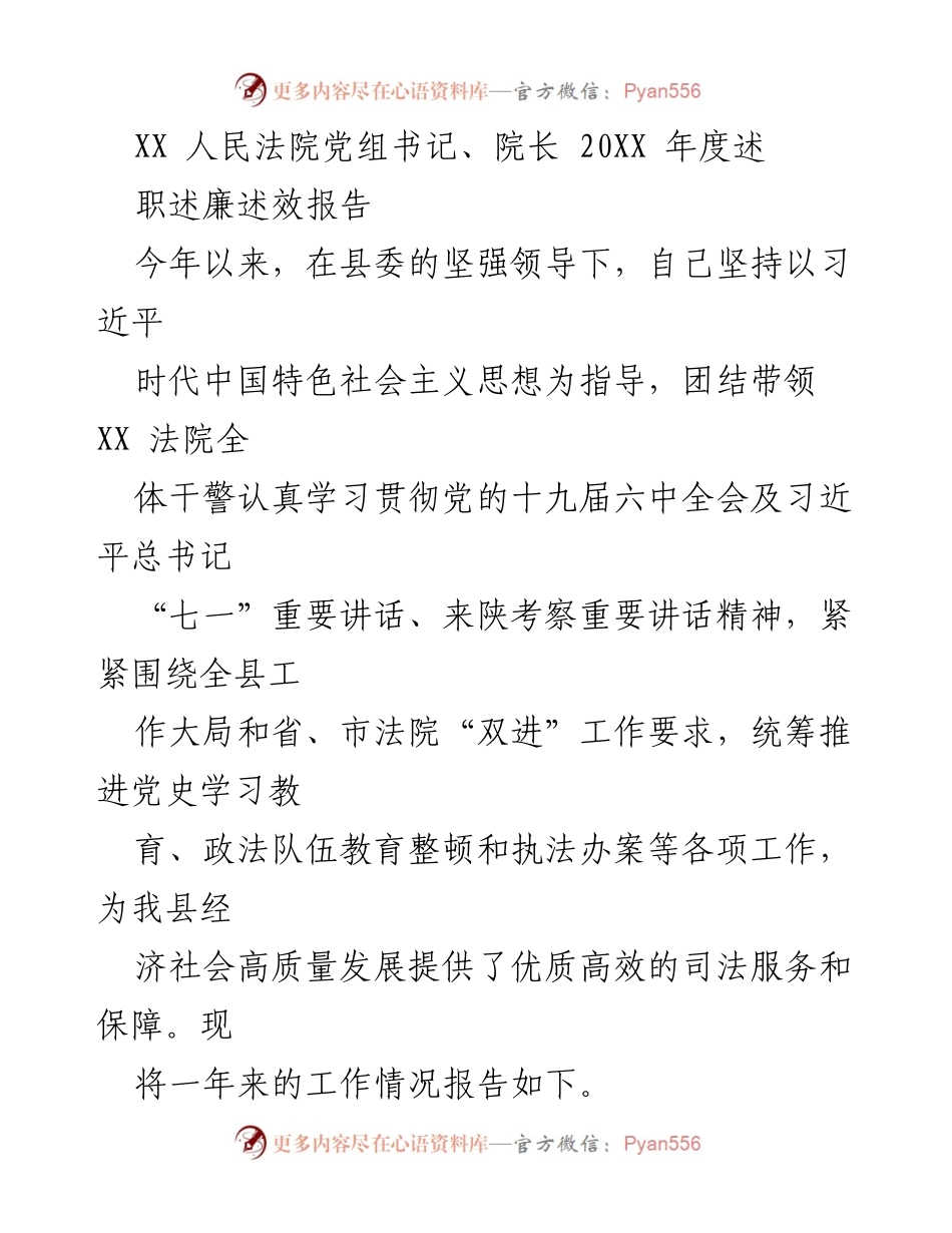 [述职报告] 法院工作总结 - XX人民法院202X年度述职述廉述效报告.docx_第1页