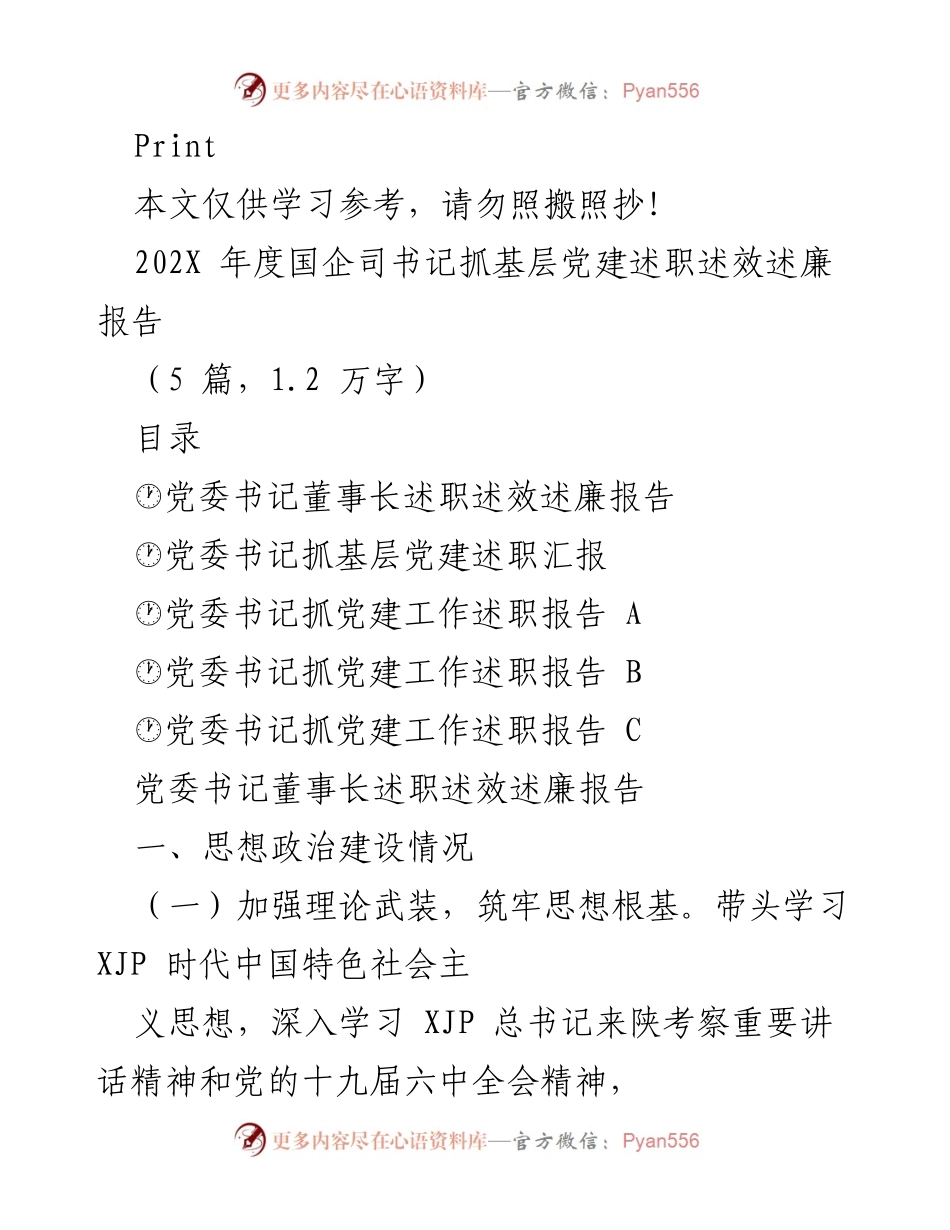 [述职报告] 国企党建 - 202X年度国企司书记抓基层党建述职述效述廉报告.docx_第1页