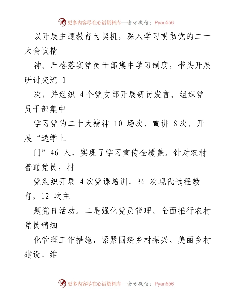 [述职报告] 村党支部 - 2023年度党建工作成效与总结.docx_第2页