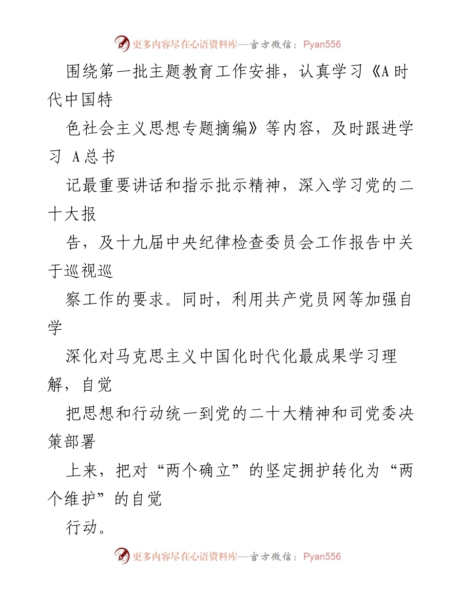 [述职报告] 述职场合 - 2023年司巡察办主任述职述廉报告.docx_第2页