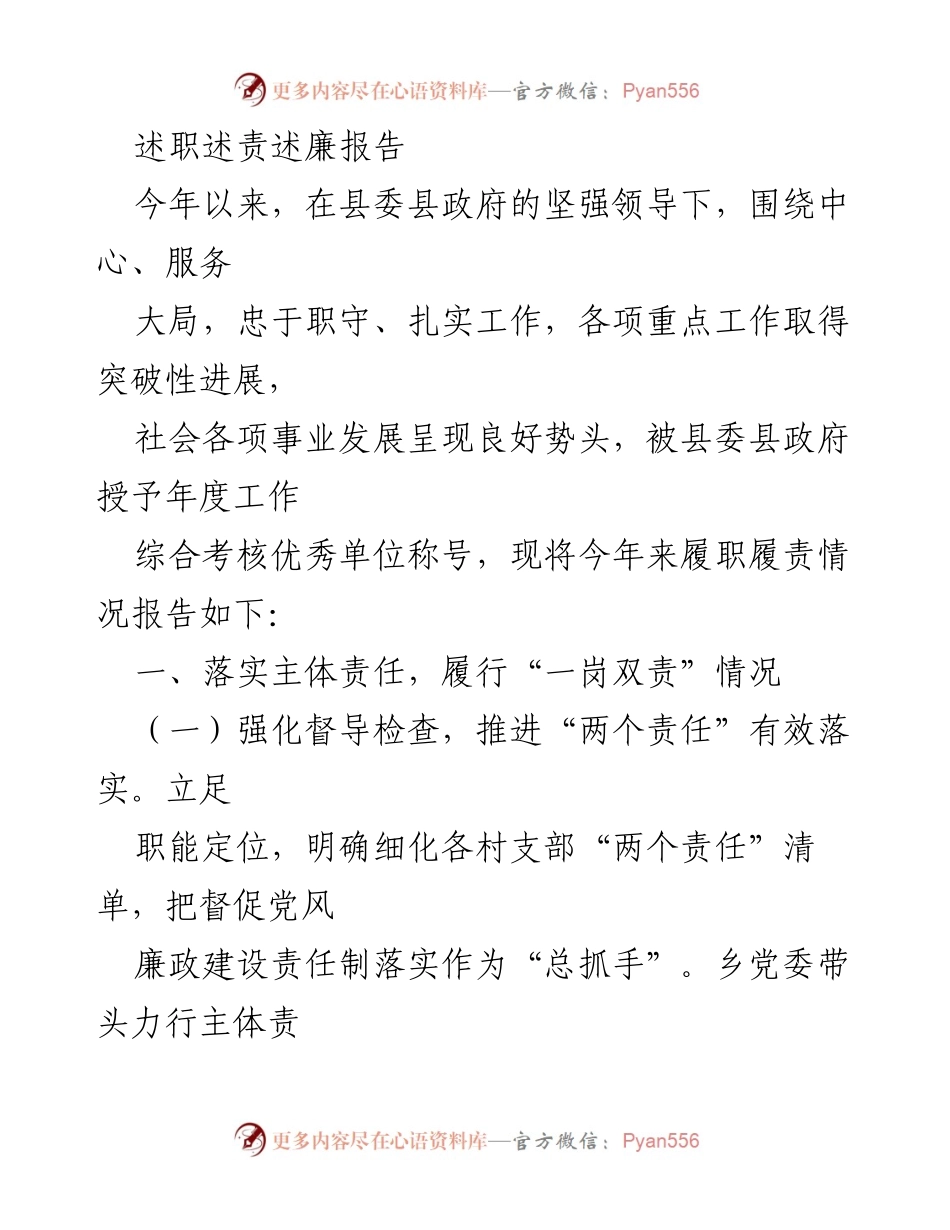 [述职报告] 年度工作总结 - 2023年度履职履责述职报告_1.docx_第1页