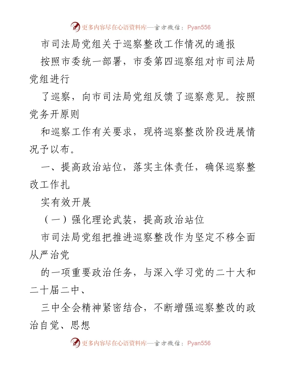 [通报] 巡察整改 - 市司法局党组巡察整改工作情况通报.docx_第1页