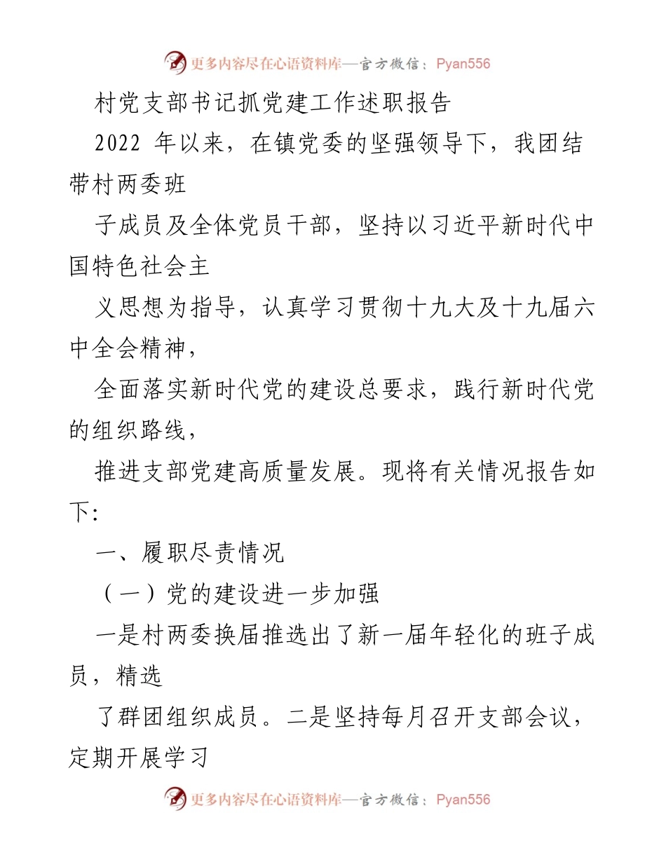 [述职报告] 村党支部工作 - 村党支部书记2022年党建工作述职报告.docx_第1页