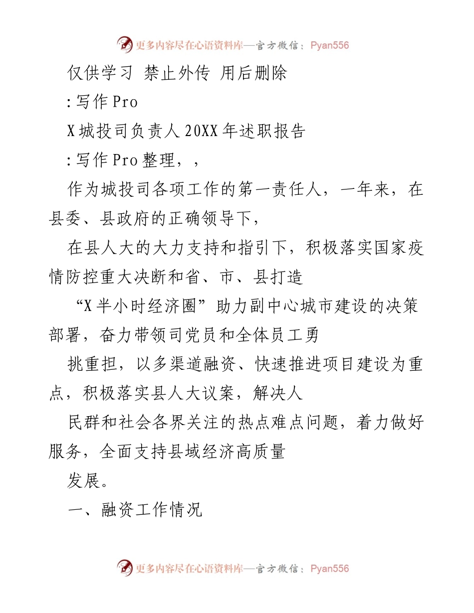 [述职报告] 城投司年度总结 - 20XX年城投司负责人述职报告.docx_第1页