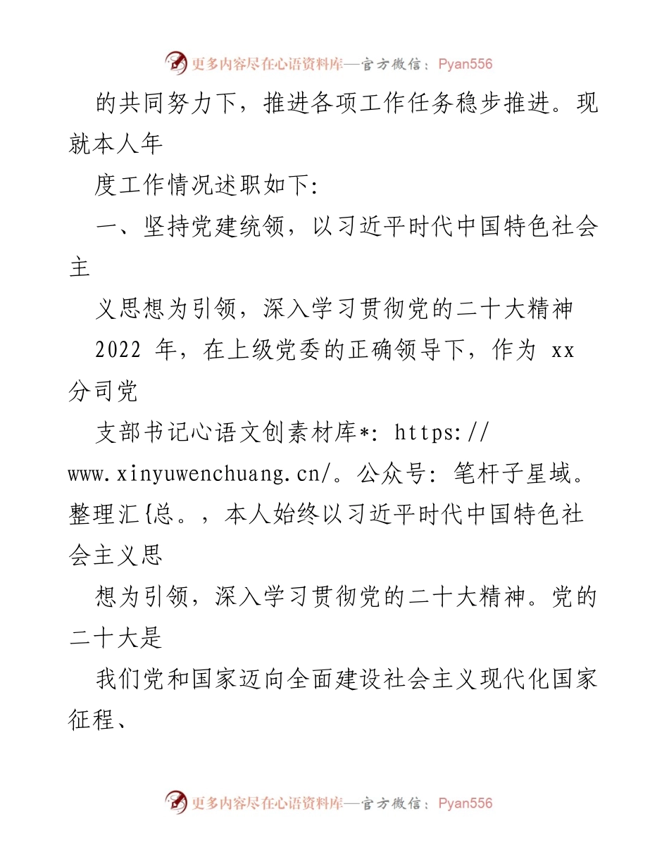 [述职报告] 年度总结 - 2022年分司党支部书记述职报告.docx_第2页