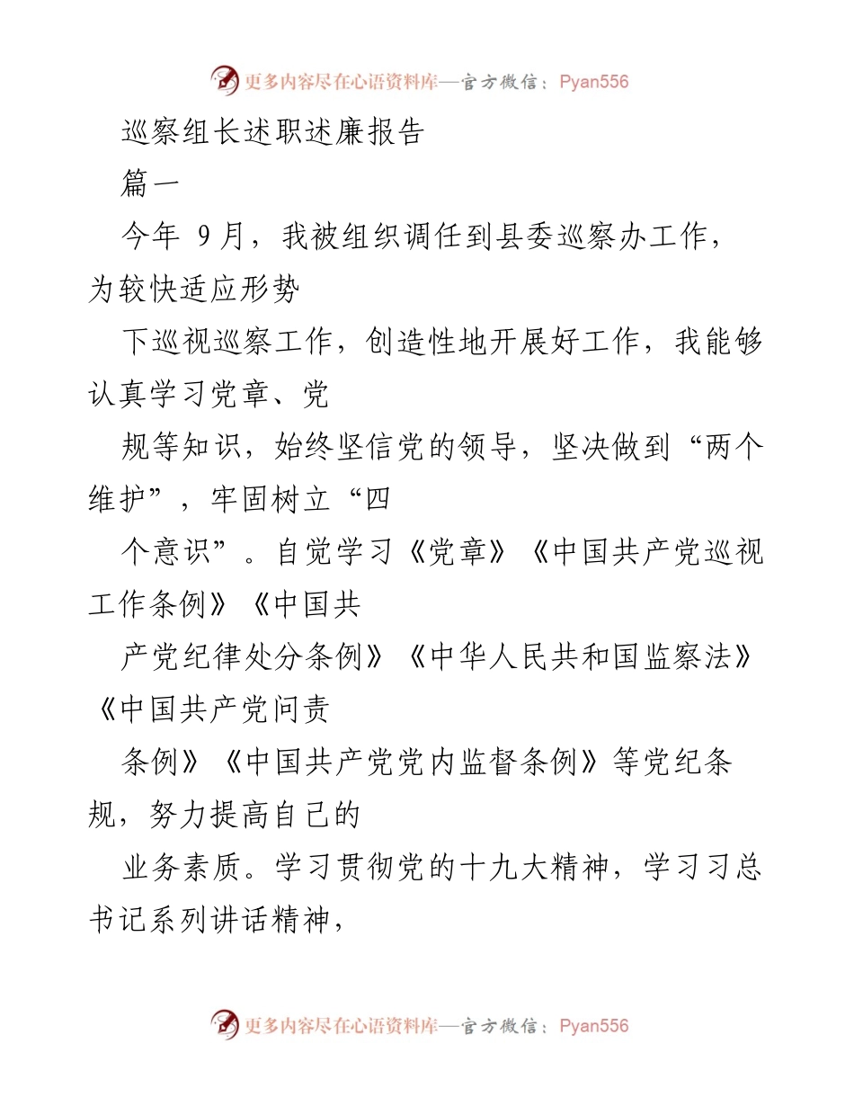 [述职报告] 巡察工作 - 巡察组长年度述职述廉报告.docx_第1页