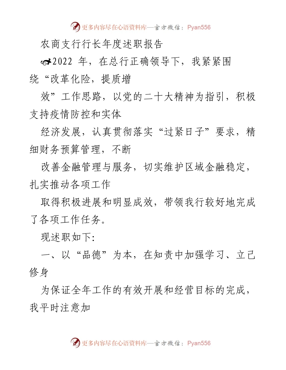 [述职报告] 年度总结 - 农商支行行长2022年度述职报告.docx_第1页