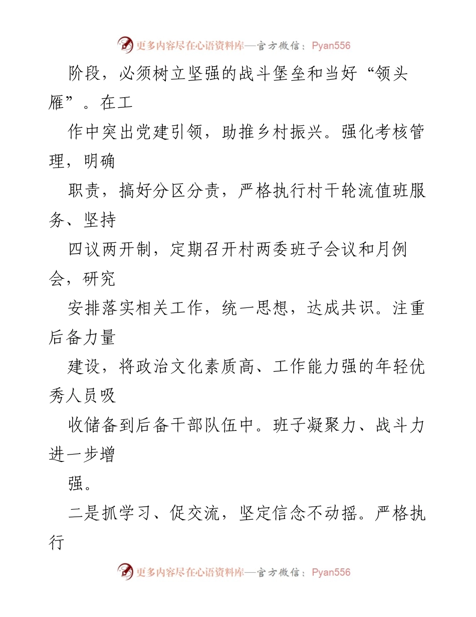 [述职报告] 村级工作总结 - xx村党总支部年度工作汇报.docx_第2页