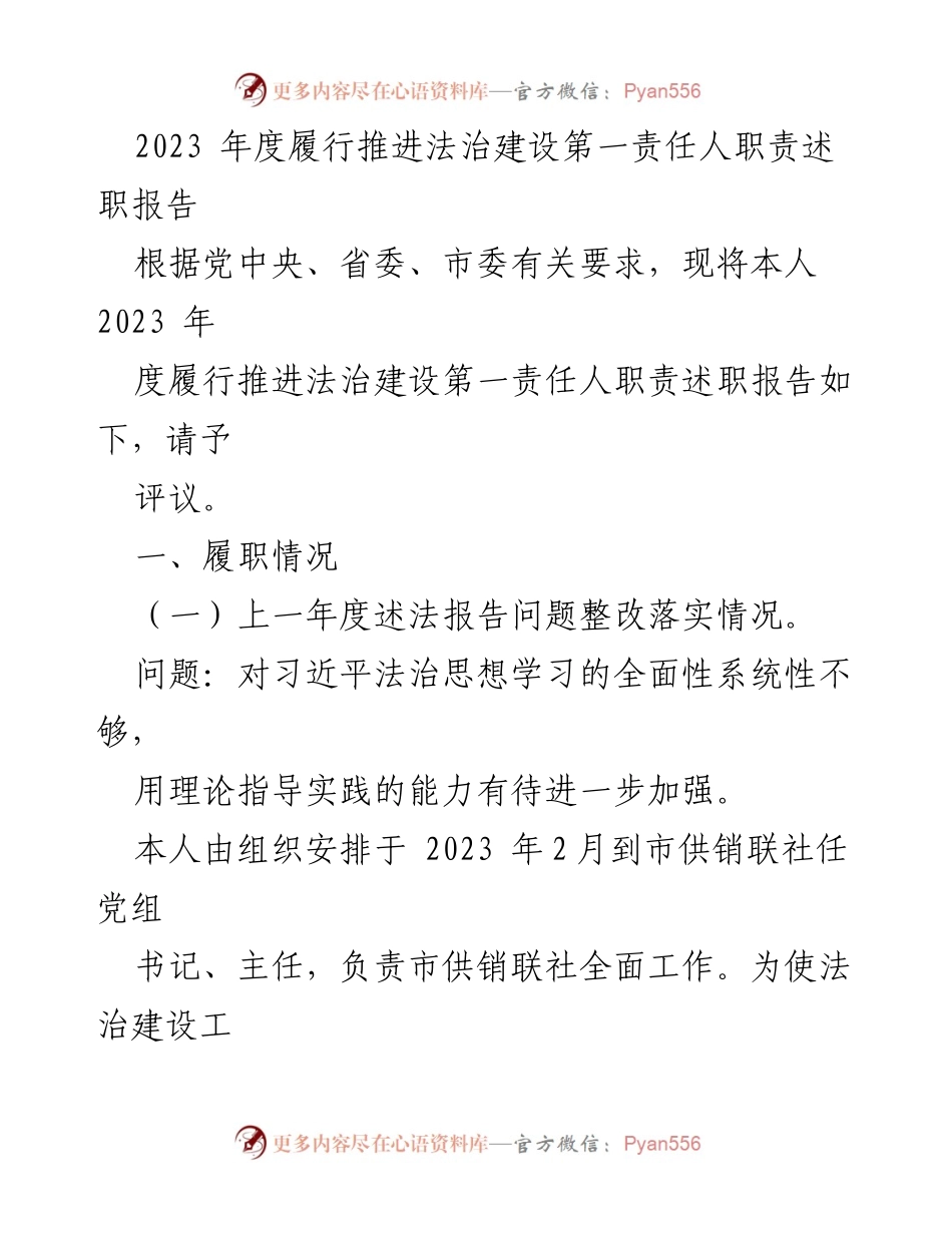 [述职报告] 法治建设 - 2023年度法治建设第一责任人履职述职报告.docx_第1页