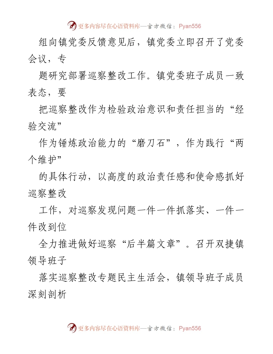 [通报] 巡察整改 - 双捷镇关于八届市委第一轮巡察整改进展情况的通报.docx_第2页