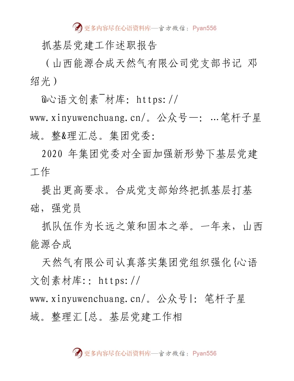 [述职报告] 基层党建 - 山西能源合成天然气有限公司党支部书记述职报告.docx_第1页