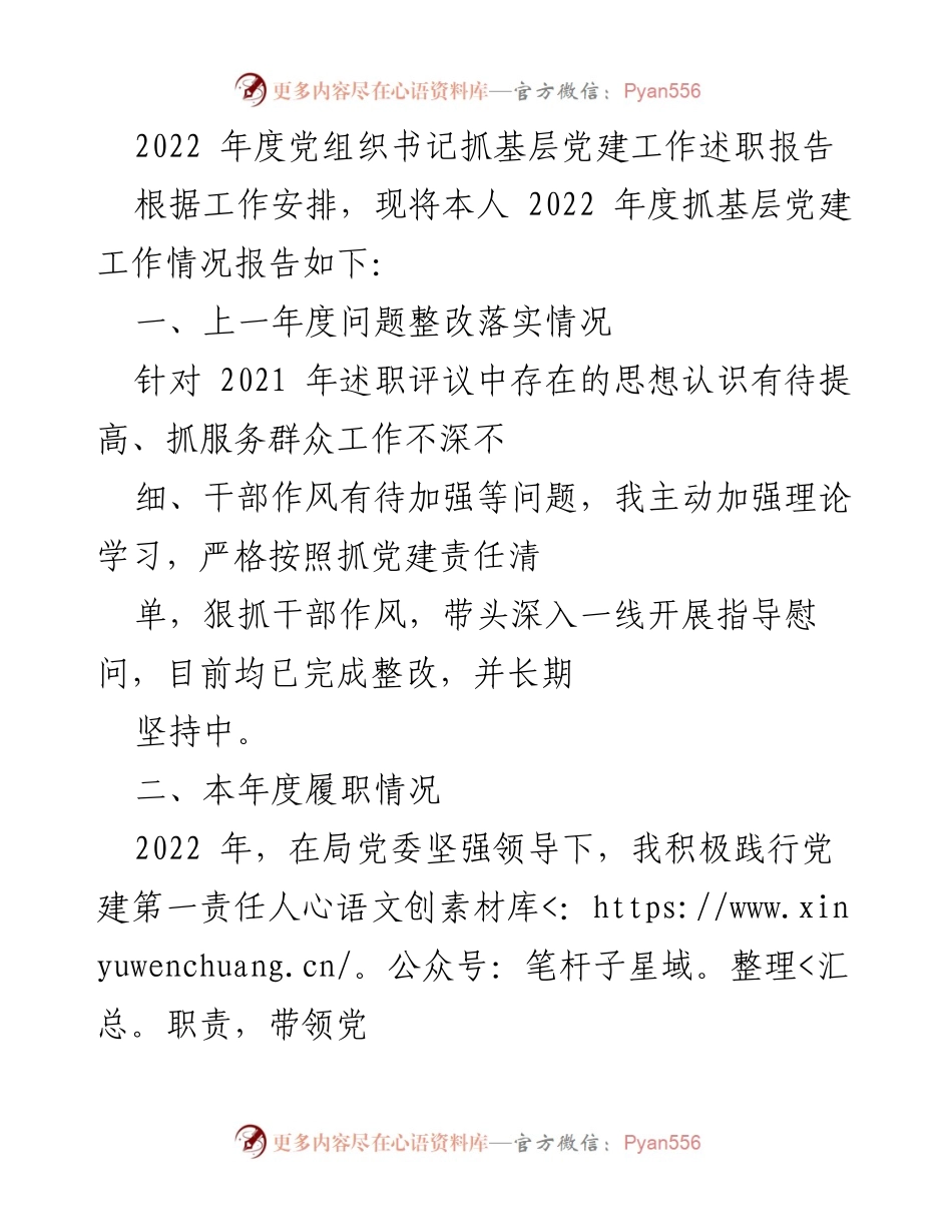 [述职报告] 年度工作总结 - 2022年度党组织书记抓基层党建工作述职报告.docx_第1页