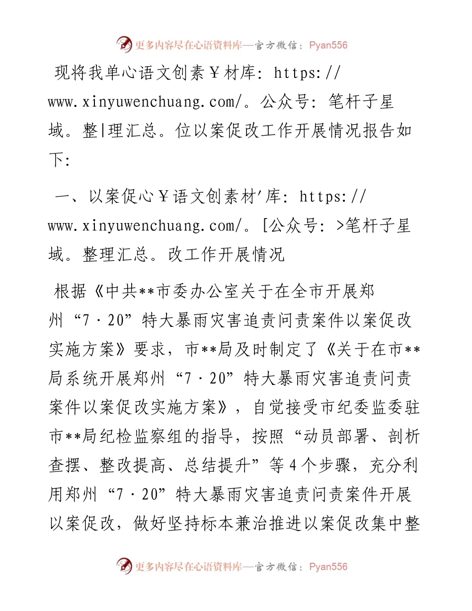 “7·20”特大暴雨灾害追责问责案件以案促改专题工作报告.docx_第1页