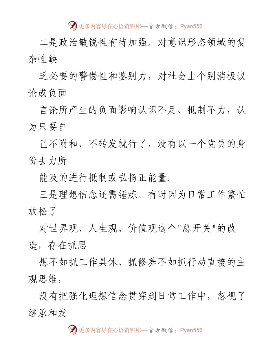 [问题材料] 党内自查 - 2024年党的政治责任与问题对照检查材料.docx_第2页