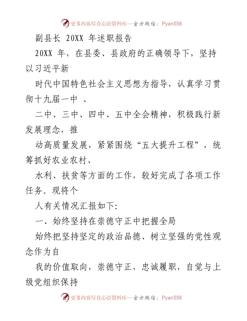 [述职报告] 政府工作 - 副县长20XX年述职报告总结.docx_第1页