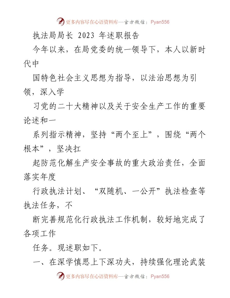 [述职报告] 执法局 - 2023年度执法局局长述职报告总结.docx_第1页
