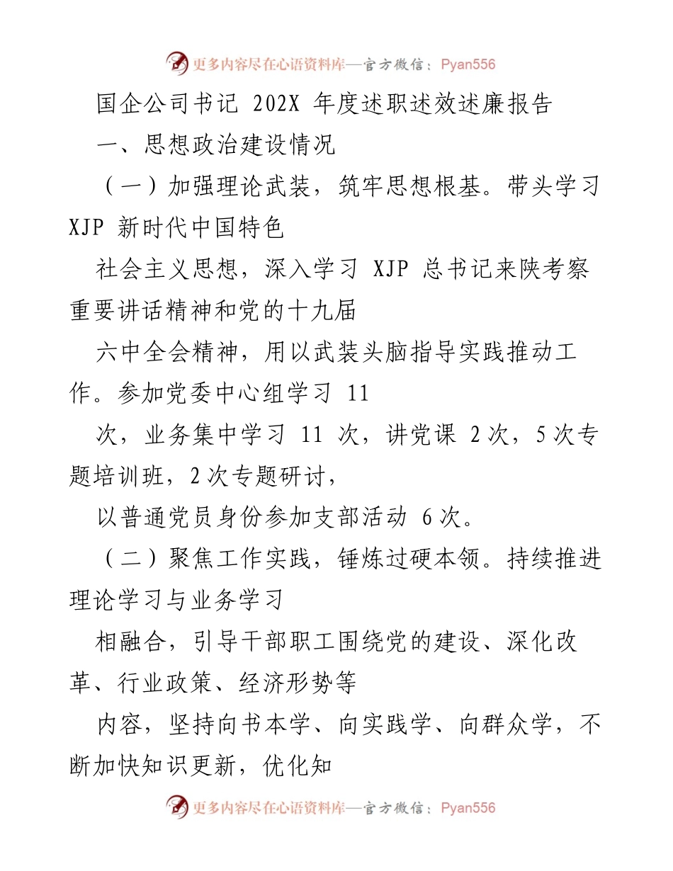 [述职报告] 国企公司年度会议 - 202X年度书记述职述效述廉报告.docx_第1页