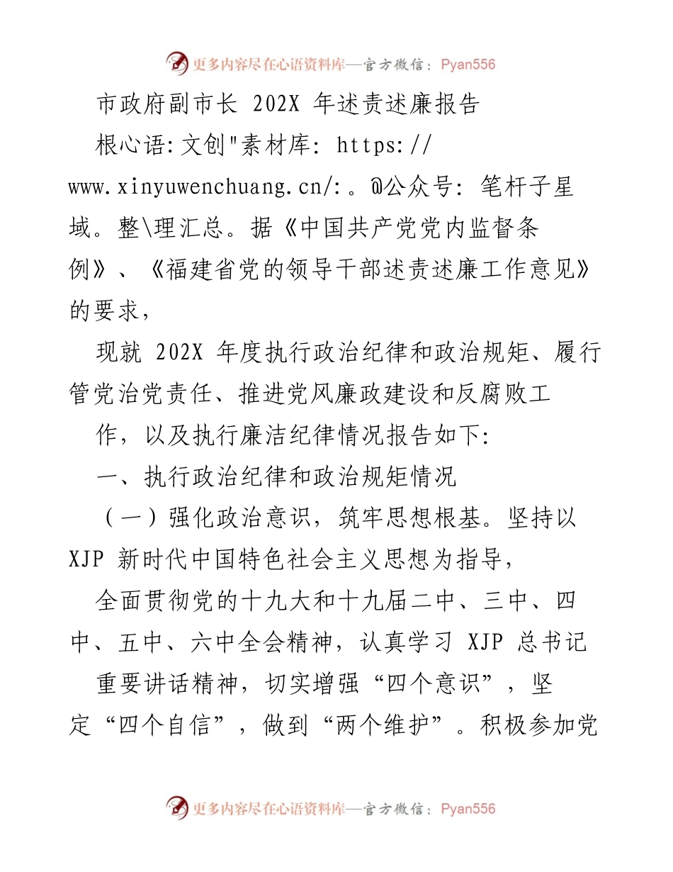[述责述廉报告] 市政府 - 202X年度副市长述责述廉报告.docx_第1页
