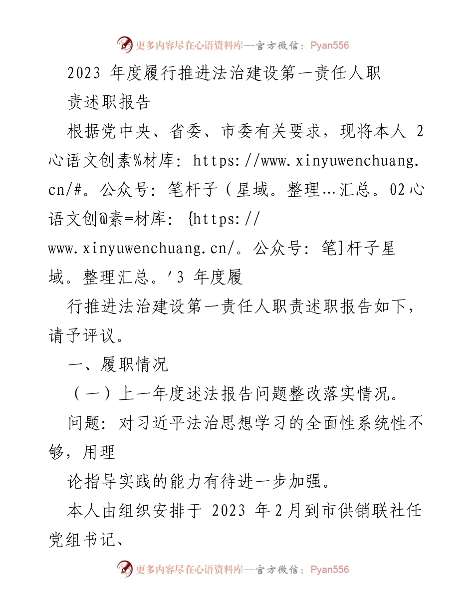 [述职报告] 法治建设工作 - 2023年度法治建设第一责任人履职述职报告.docx_第1页