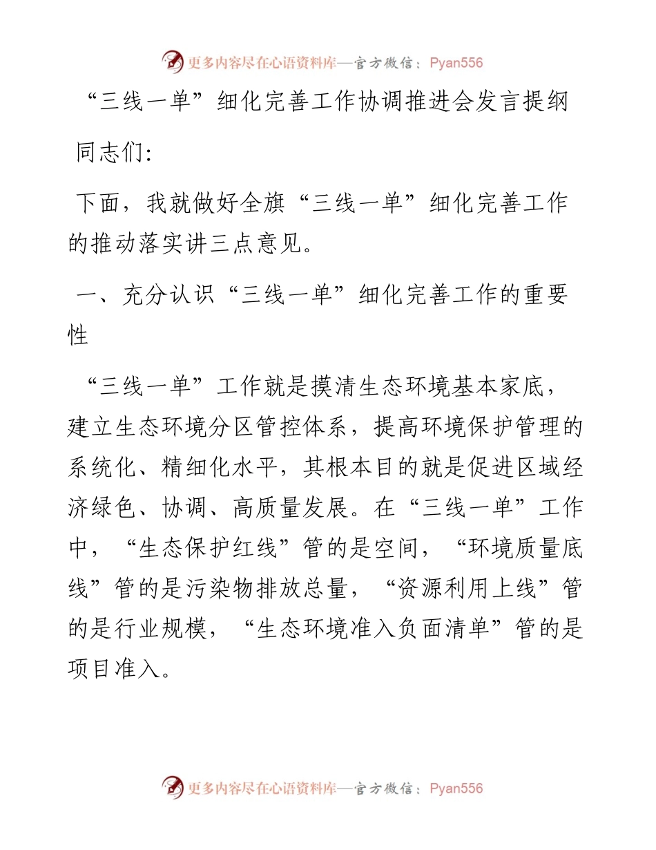 “三线一单”细化完善工作协调推进会发言提纲.docx_第1页