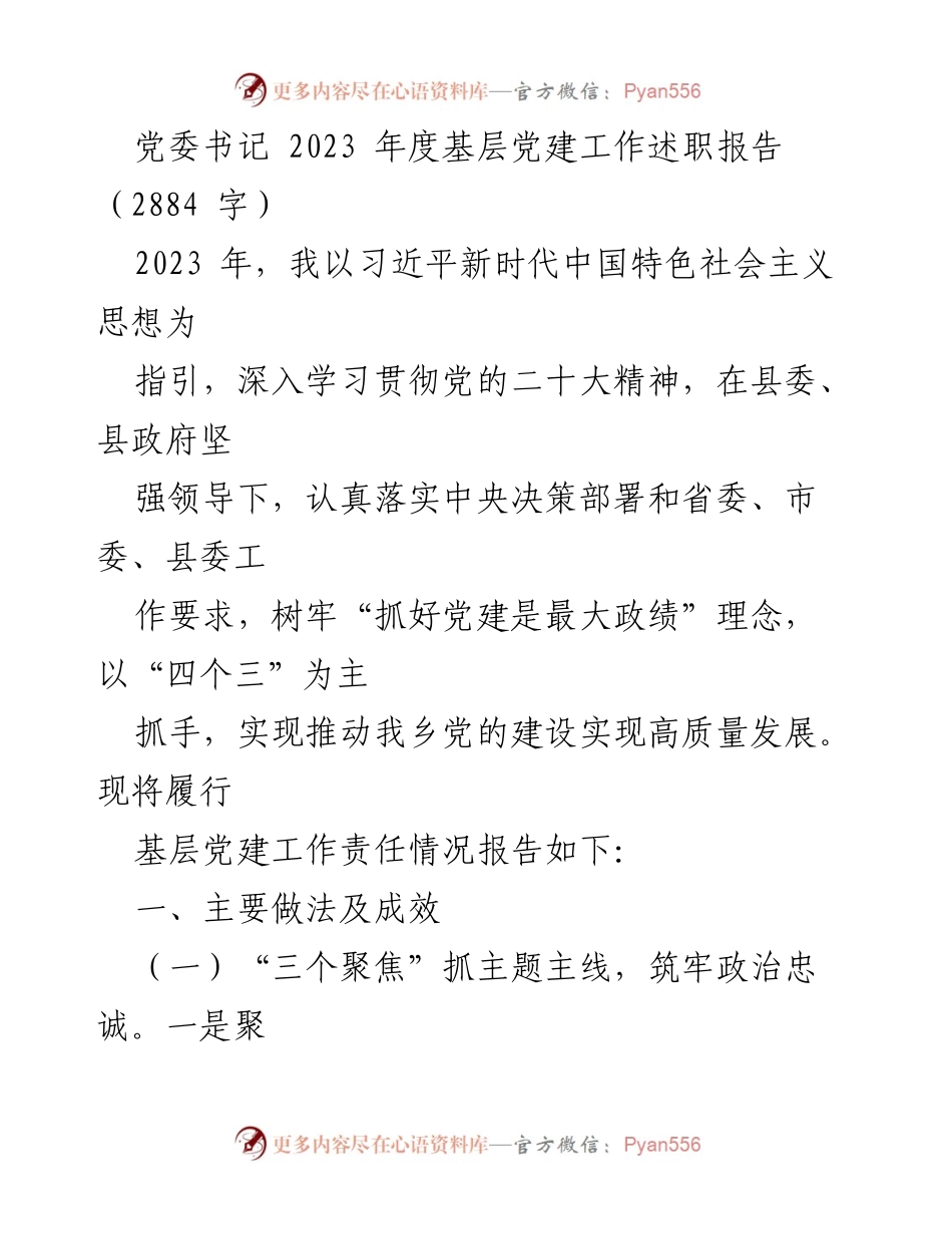 [述职报告] 基层党建工作 - 2023年度基层党建工作述职报告_9.docx_第1页