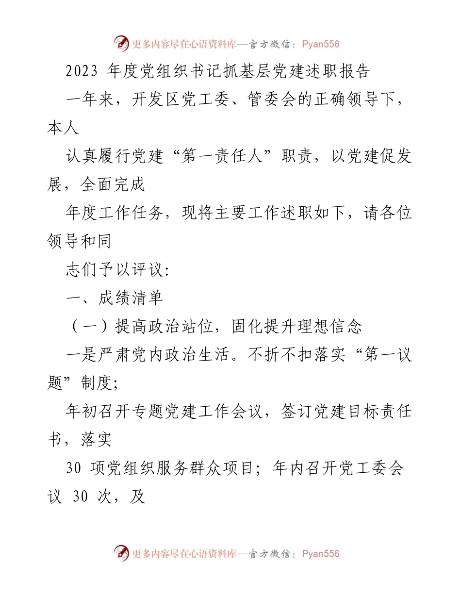 [述职报告] 年度党建工作总结 - 2023年度党组织书记党建述职报告.docx_第1页