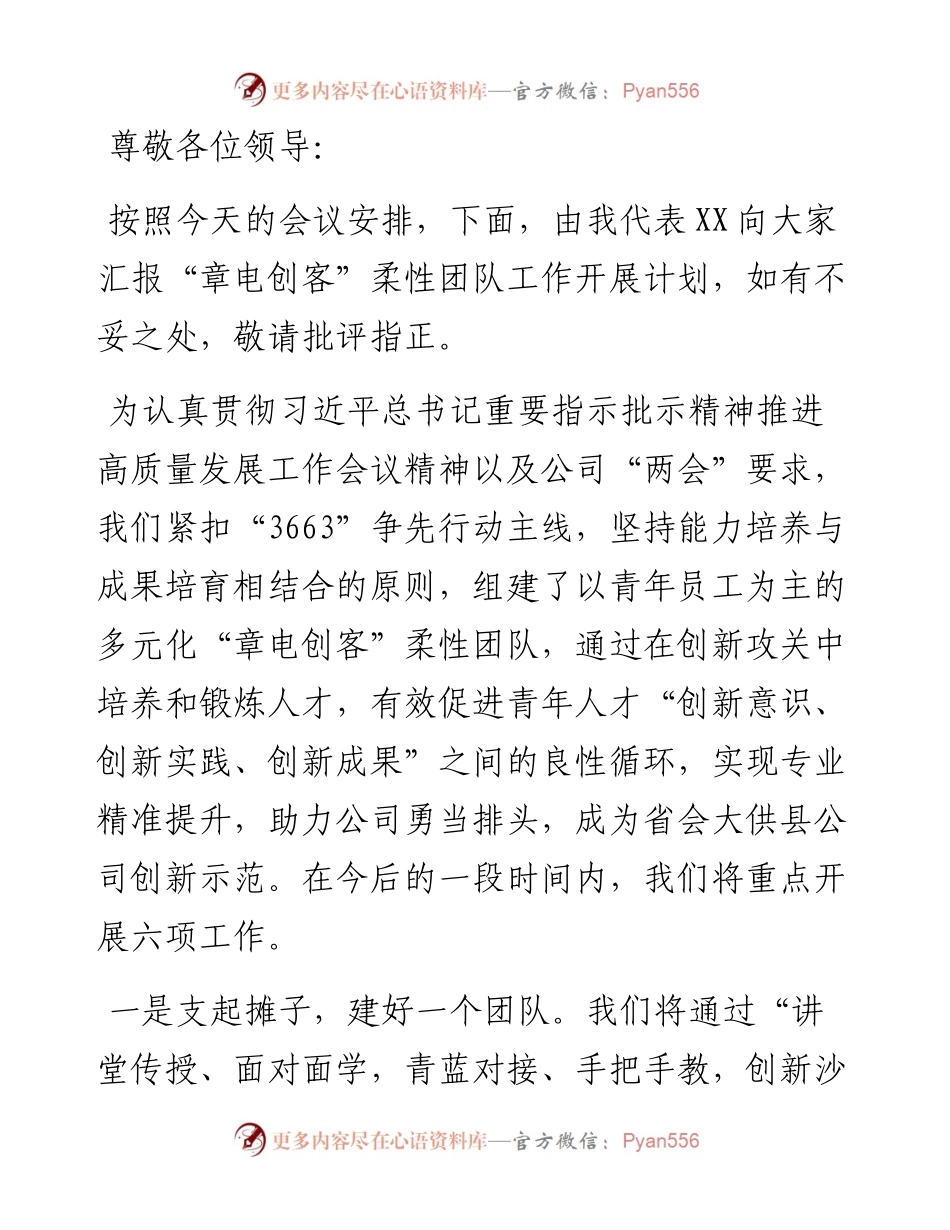 “章电创客”柔性团队工作开展计划汇报.docx_第1页