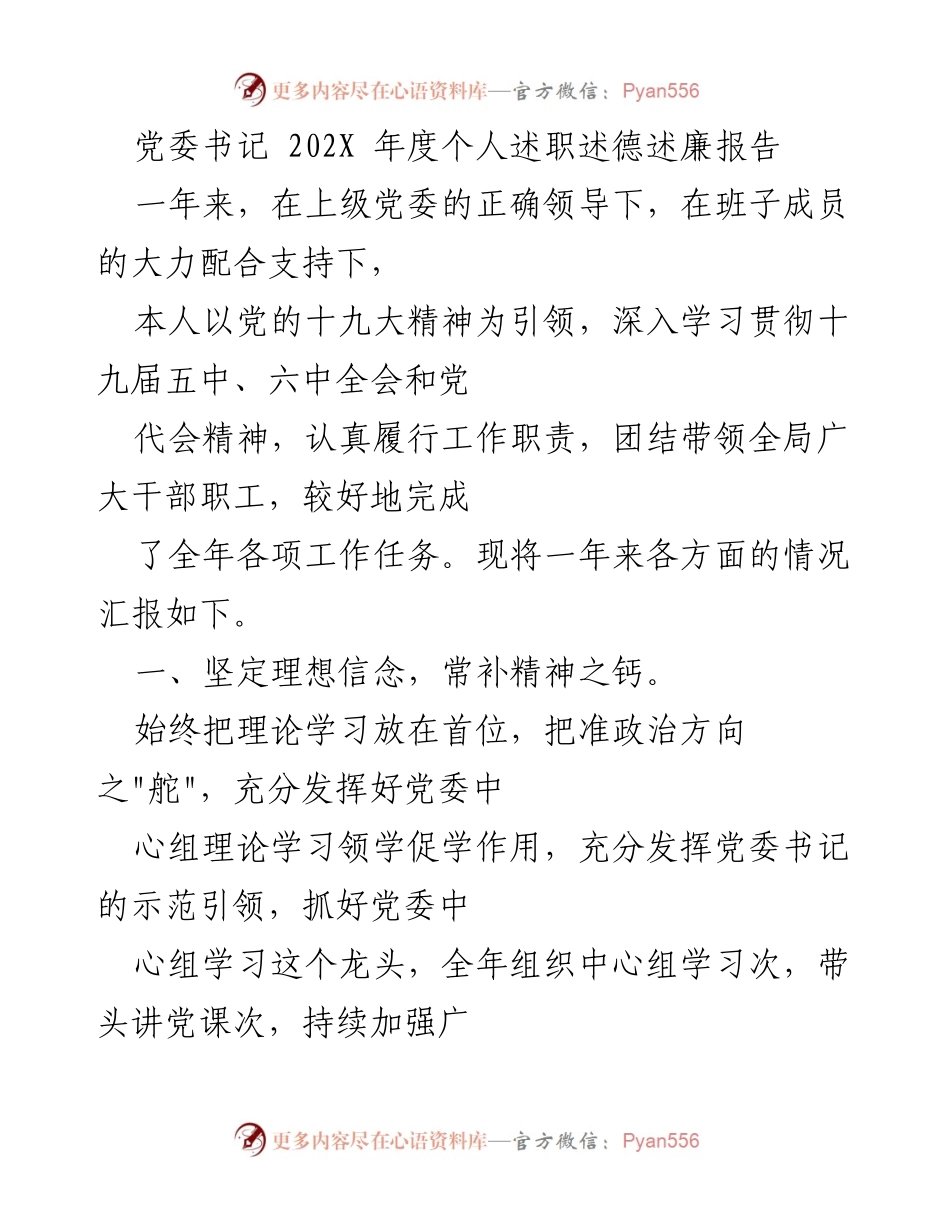 [述职报告] 年度总结 - 202X年度党委书记述职述德述廉报告.docx_第1页