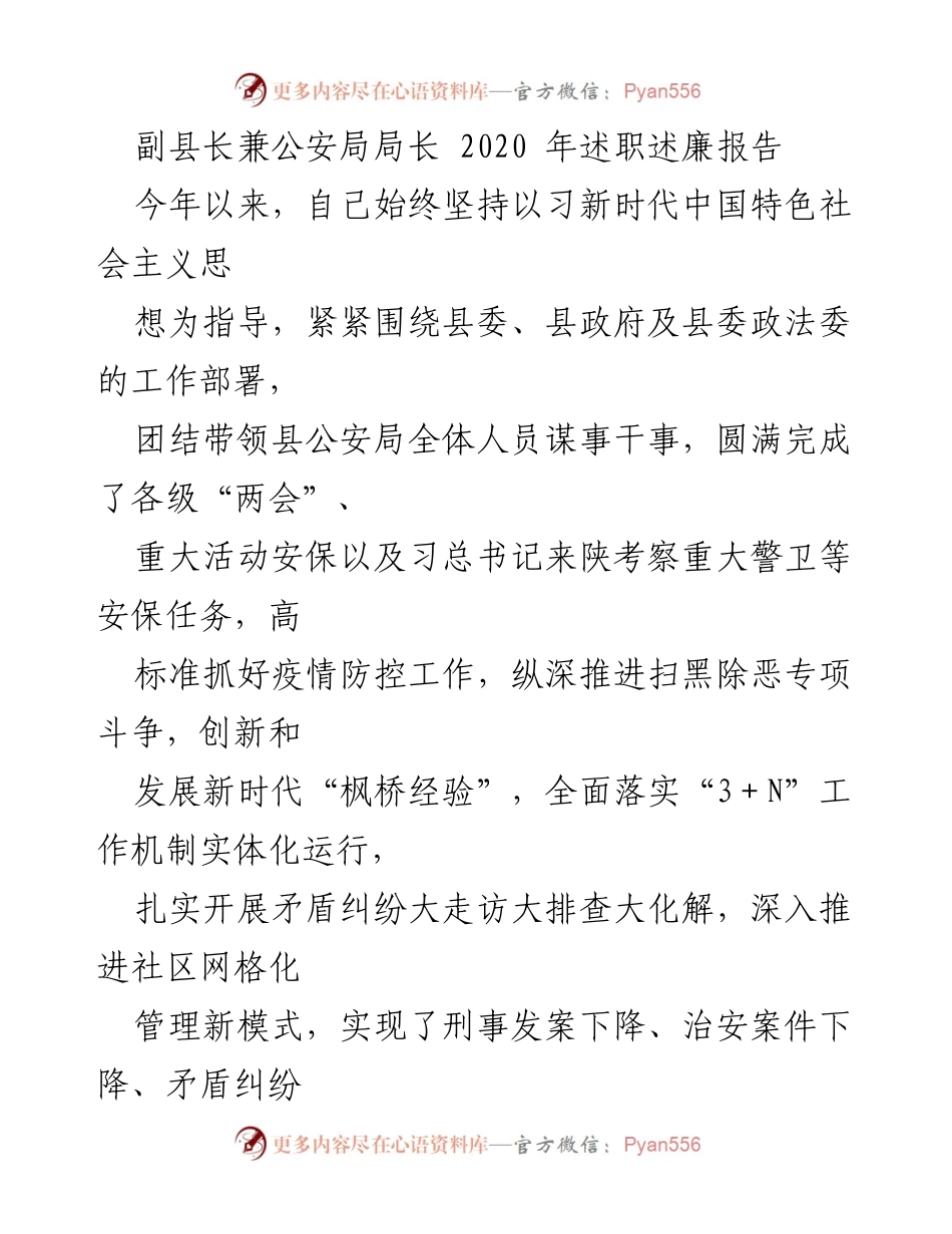 [述职报告] 政府工作 - 副县长兼公安局局长2020年述职述廉报告.docx_第1页