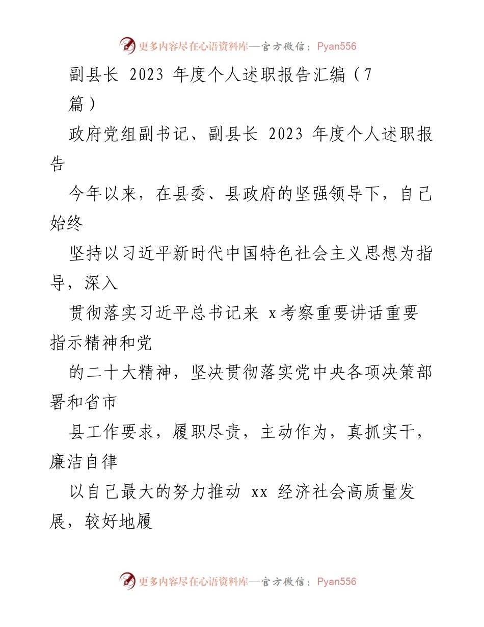 [述职报告] 政府工作 - 副县长2023年度个人述职报告总结.docx_第1页