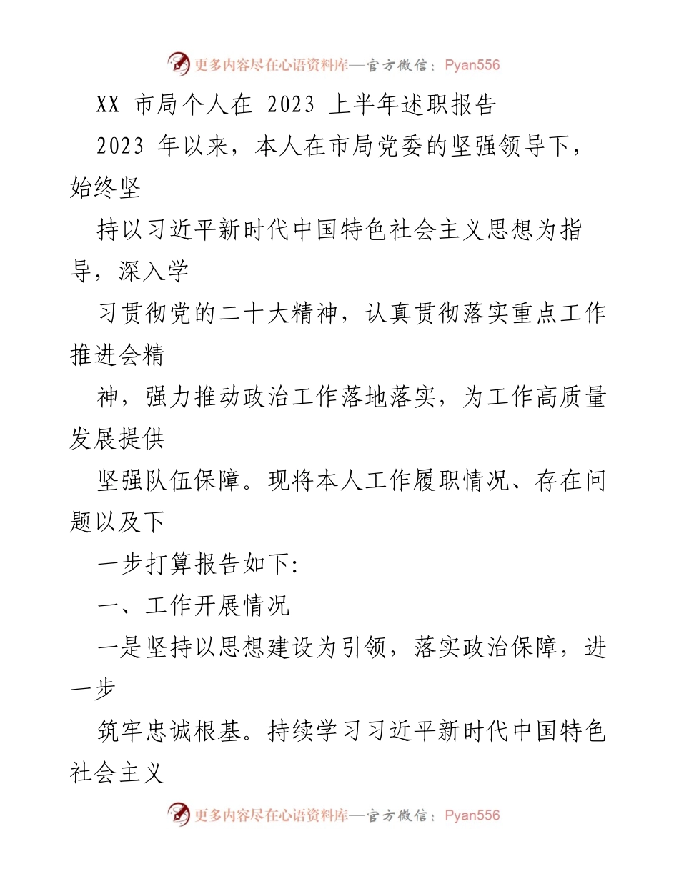 [述职报告] 市局 - 2023年上半年个人述职报告总结与展望.docx_第1页