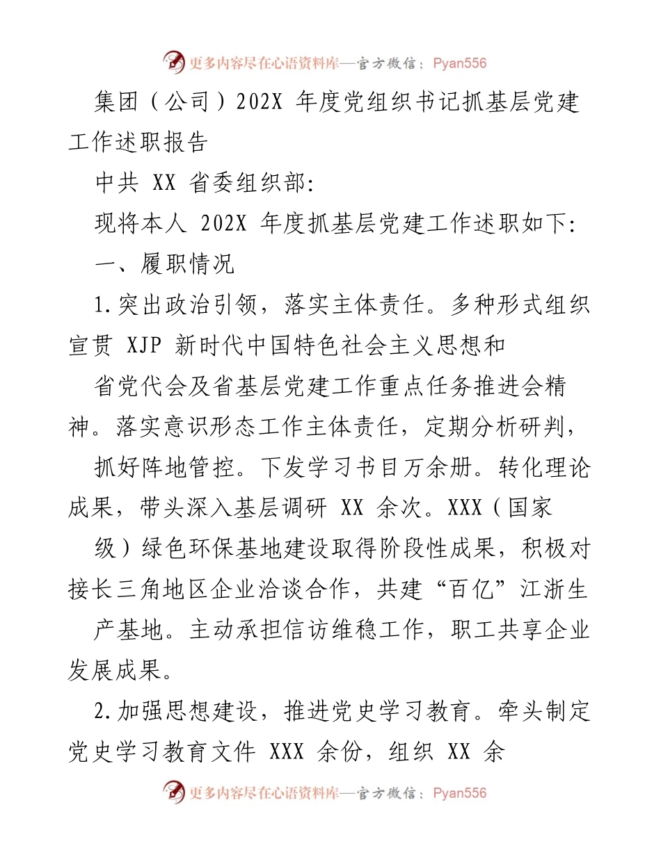 [述职报告] 年度总结 - 202X年度党组织书记基层党建工作述职报告.docx_第1页