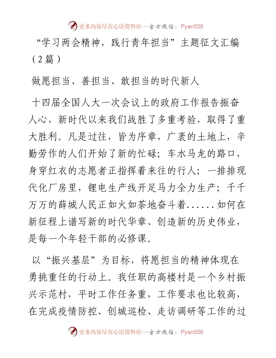 “学习两会精神，践行青年担当”主题征文汇编（2篇）.docx_第1页