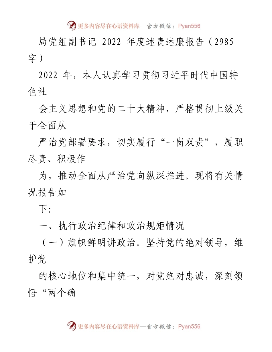 [述责述廉报告] 年度总结 - 2022年度局党组副书记述责述廉报告.docx_第1页