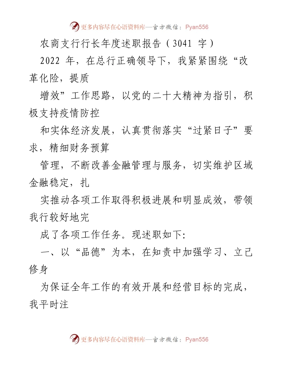 [述职报告] 年度总结 - 农商支行行长2022年度述职报告_2.docx_第1页