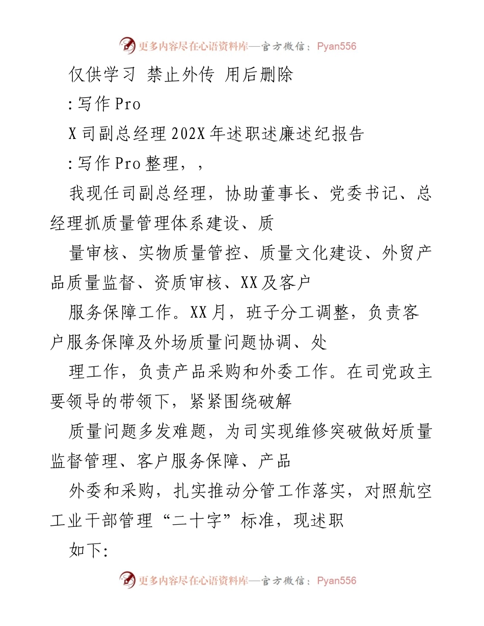 [述职报告] 述职场合 - 202X年副总经理述职述廉述纪报告.docx_第1页