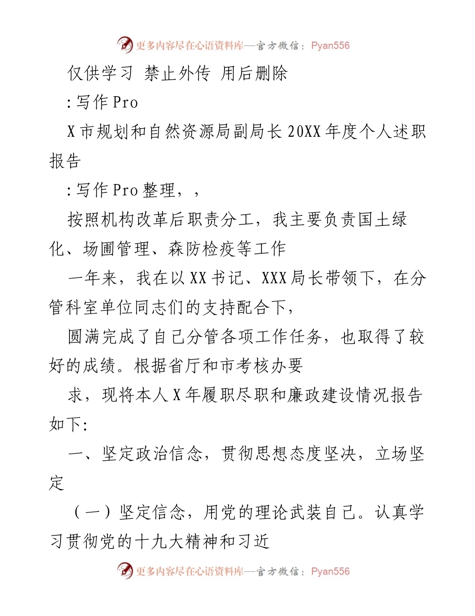 [述职报告] 政府部门 - X市规划和自然资源局副局长202X年度个人述职报告.docx_第1页