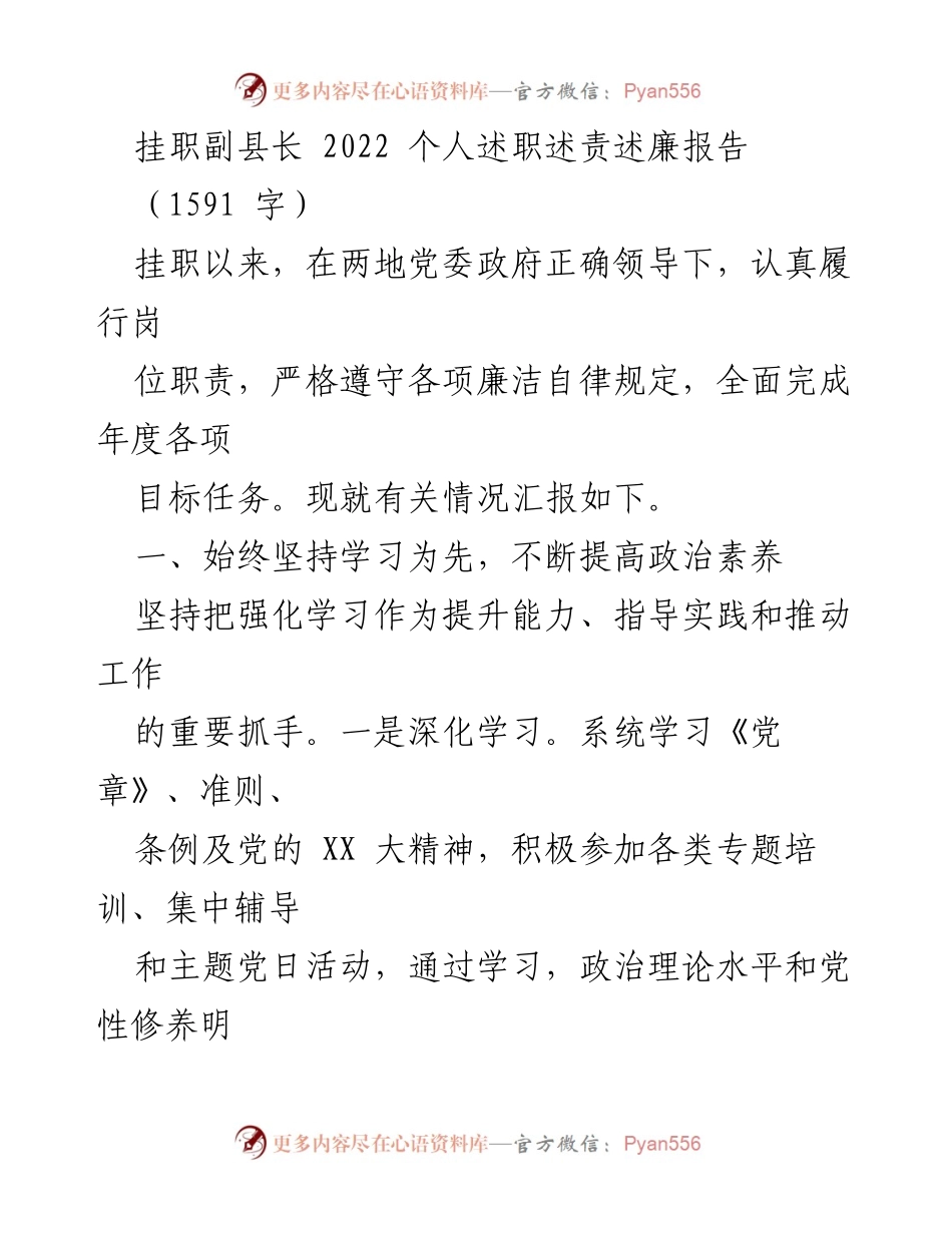 [述职报告] 挂职副县长 - 2022年度个人述职述责述廉报告.docx_第1页