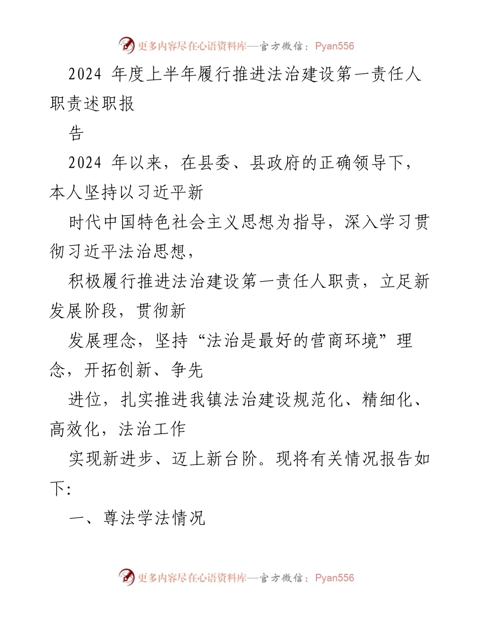 [述职报告] 法治建设工作 - 2024年度法治建设第一责任人履职述职报告.docx_第1页