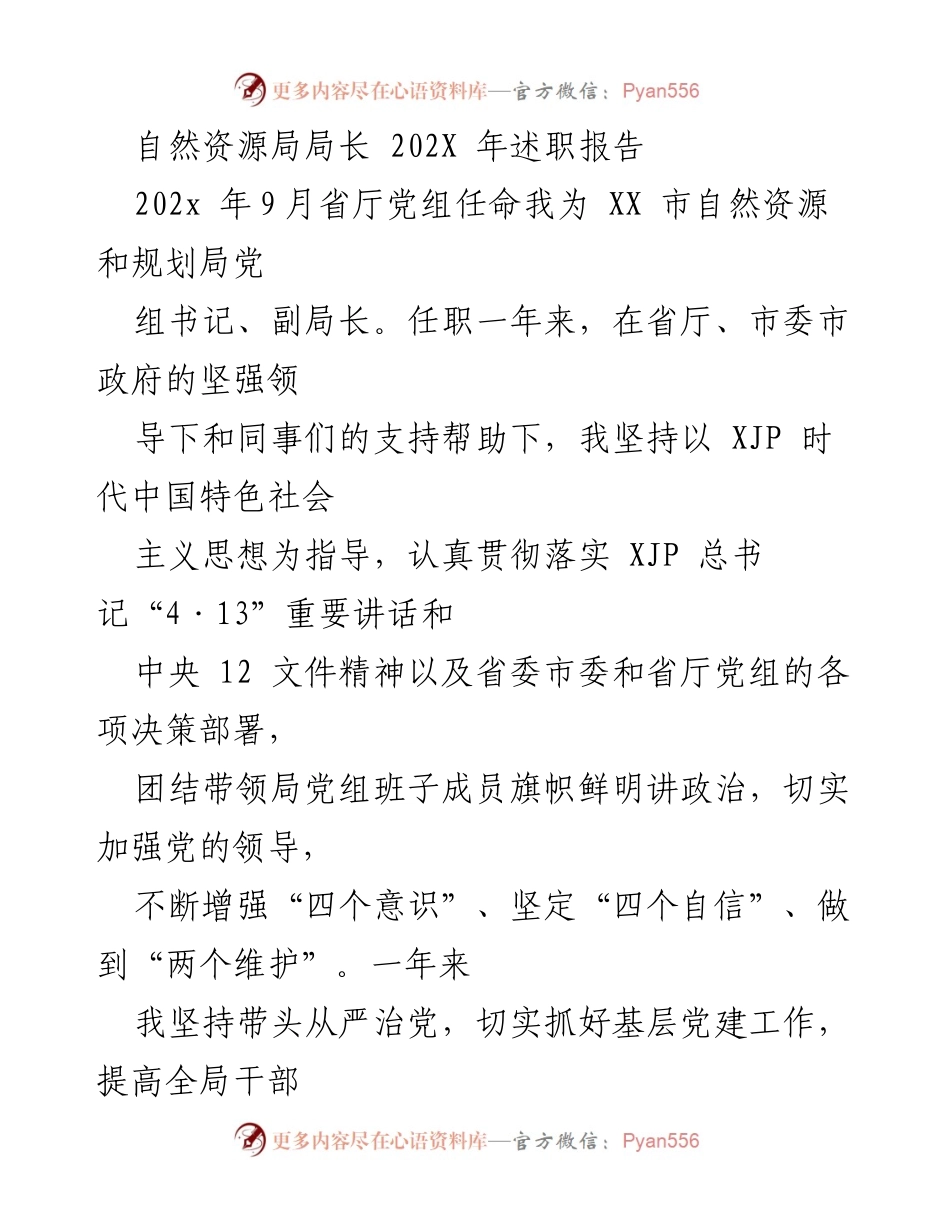 [述职报告] 自然资源局 - 202X年自然资源局局长述职报告.docx_第1页