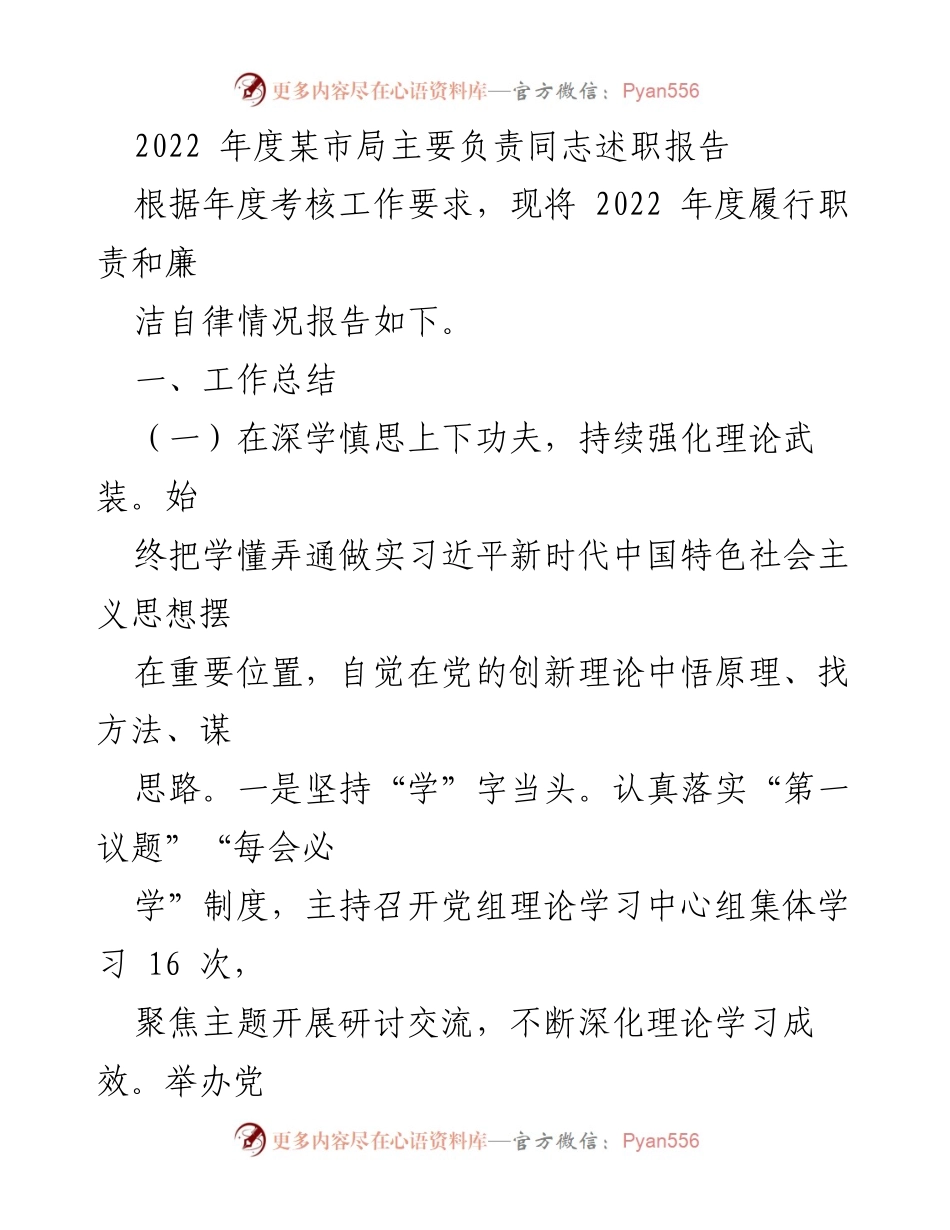 [述职报告] 年度考核 - 2022年度某市局主要负责同志述职报告总结与工作成效分析.docx_第1页