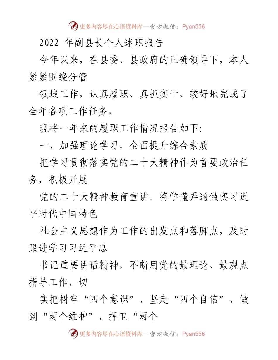 [述职报告] 政府工作 - 副县长年度履职总结报告.docx_第1页