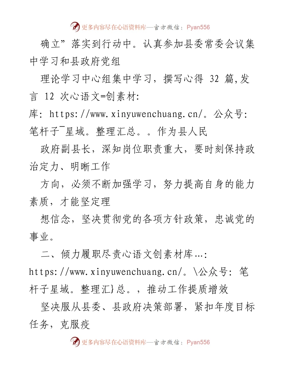 [述职报告] 政府工作 - 副县长年度履职总结报告.docx_第2页