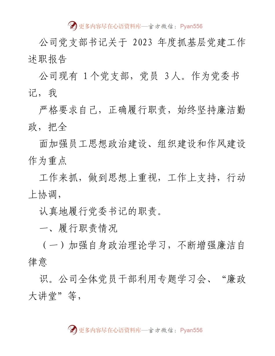 [述职报告] 年度工作总结 - 2023年度公司党支部书记抓基层党建工作述职报告.docx_第1页