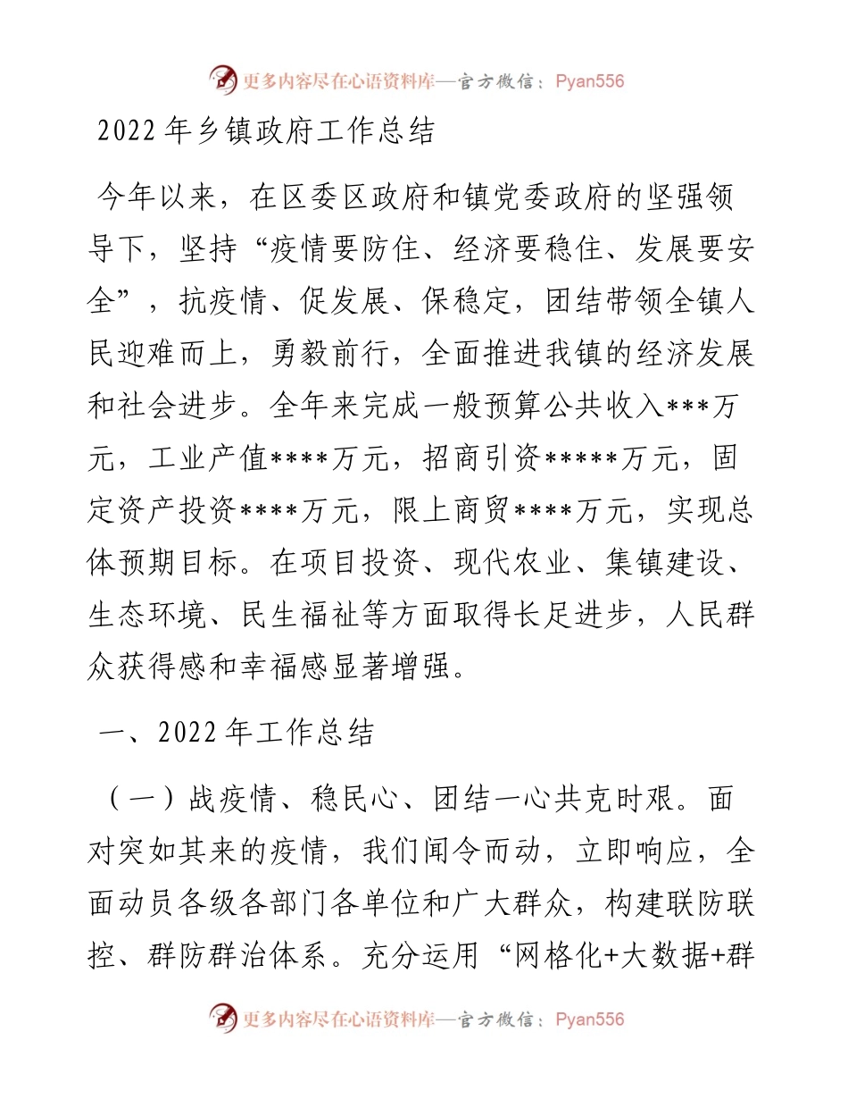 乡镇政府工作总结.docx_第1页