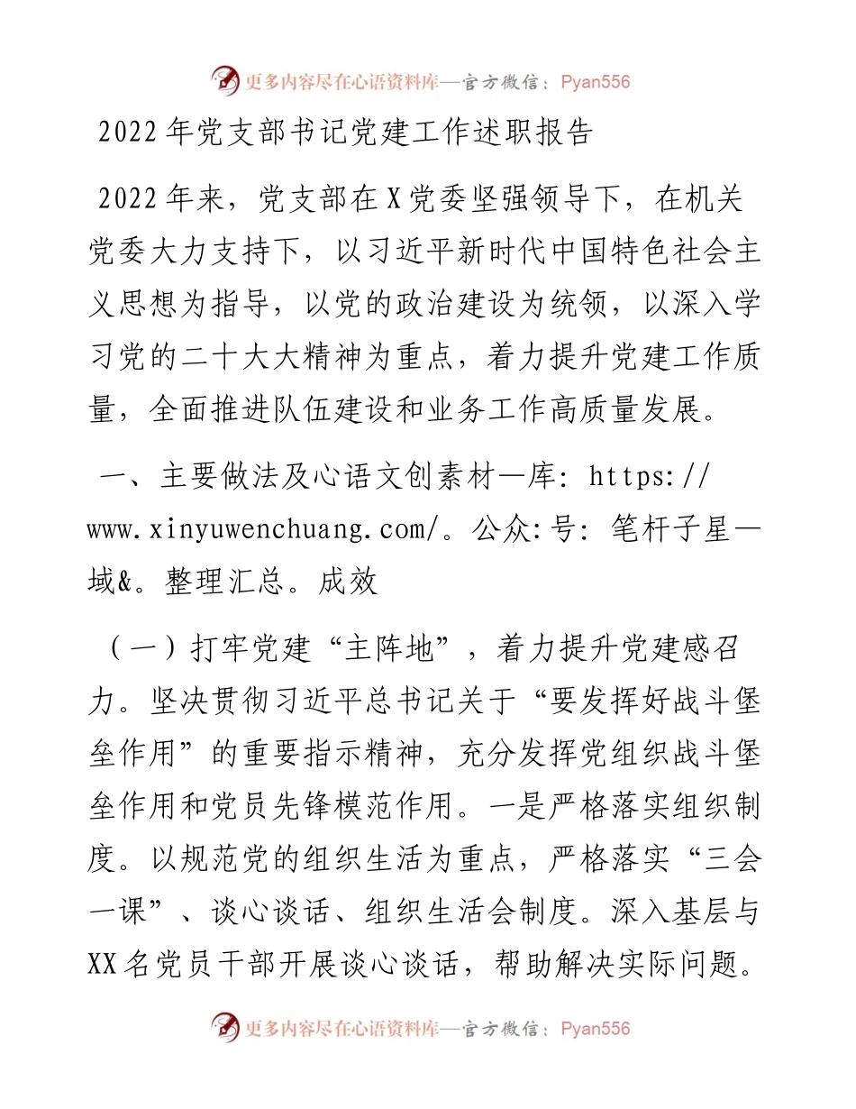 党支部书记党建工作述职报告.docx_第1页