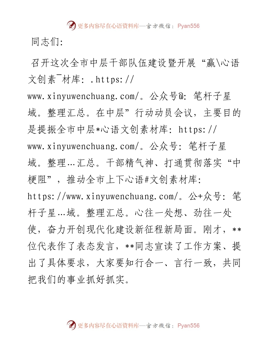 中层干部队伍建设工作会议总结讲话提纲.docx_第1页
