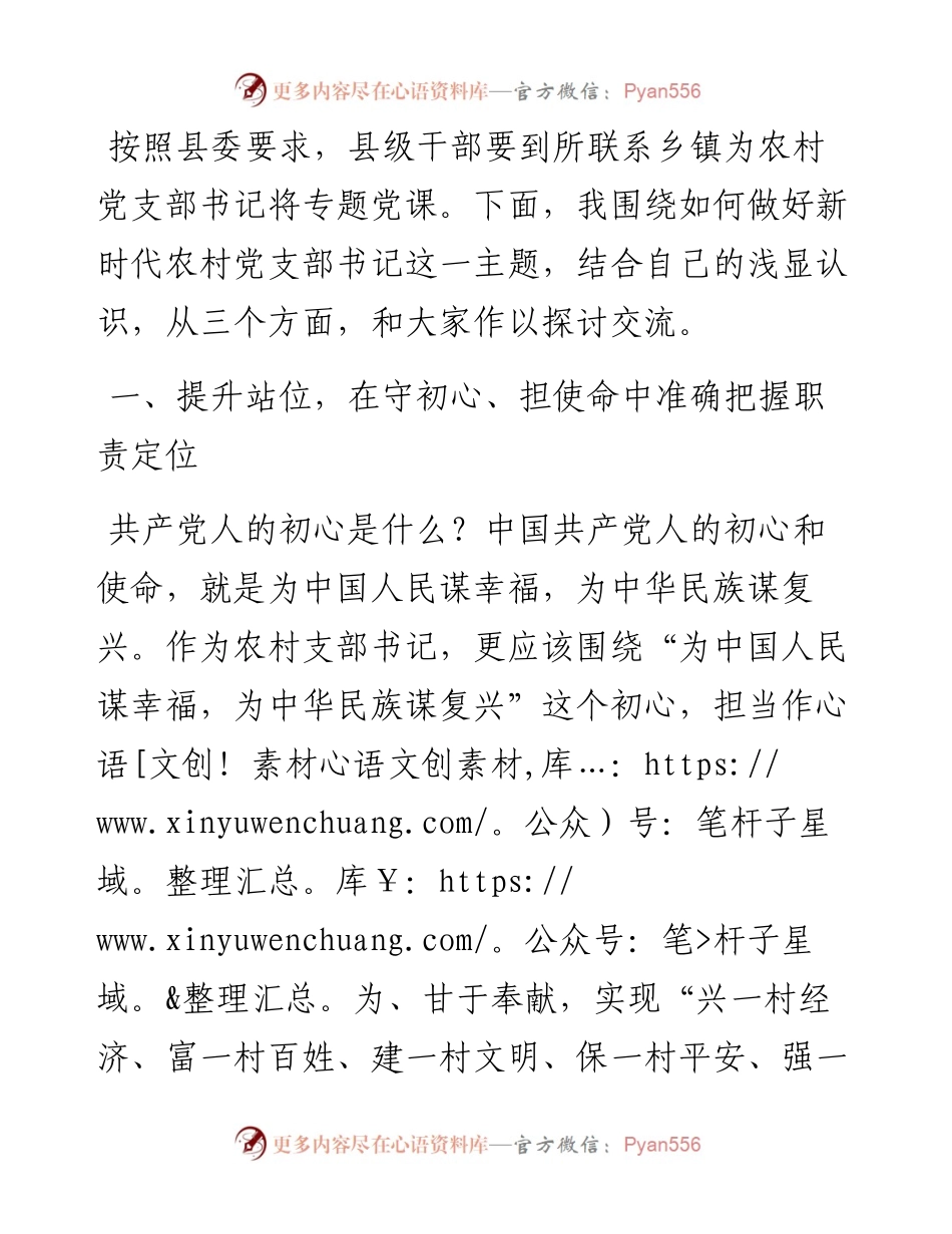 专题党课：不忘初心使命 勇于担当作为 争做新时代农村党支部书记典范.docx_第1页